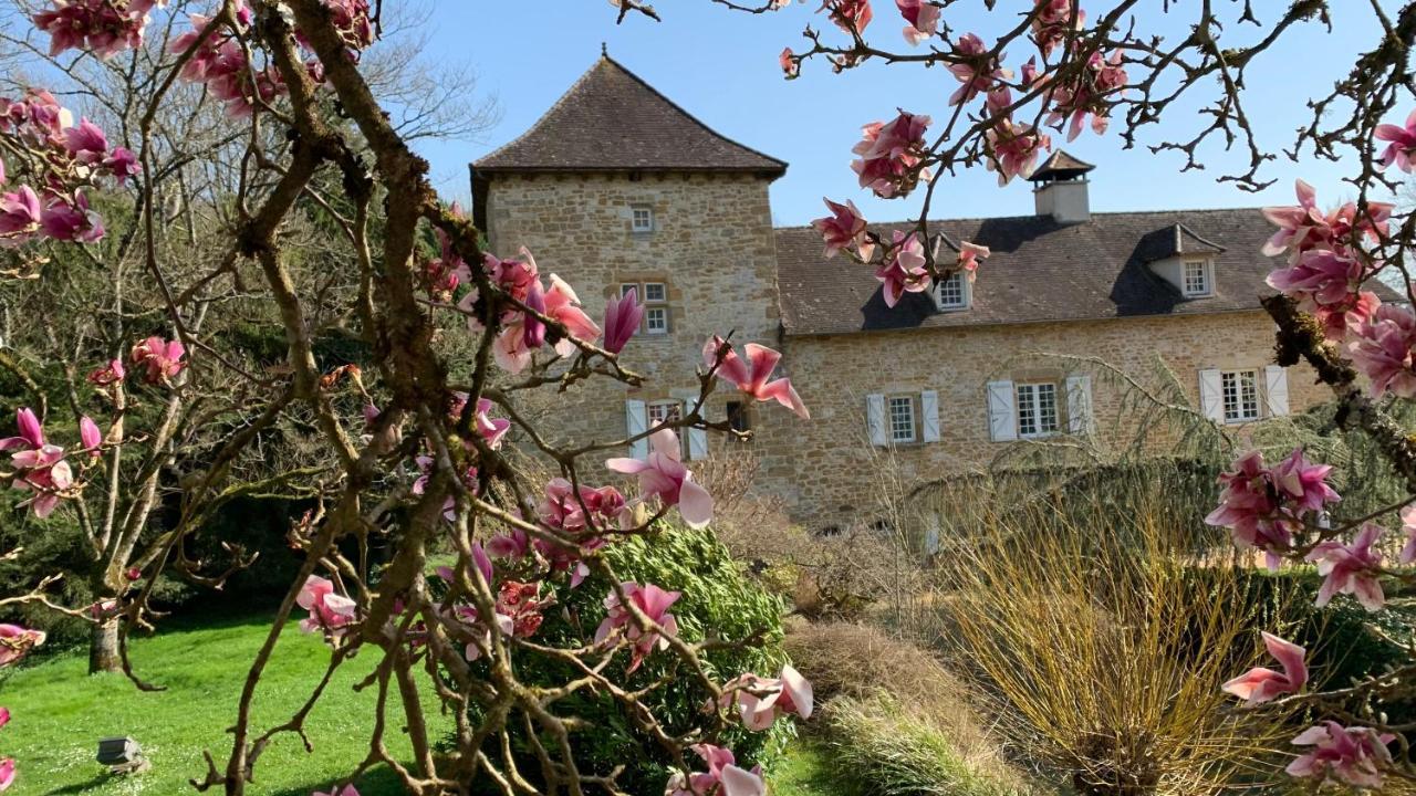 Le Moulin Du Boisset Bed & Breakfast Saint-Denis-les-Martel Exterior photo
